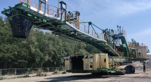 Koparka Popiołowa zdjęcie #2