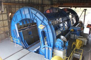 Wywrotnica Wagonowa zdjęcie #2